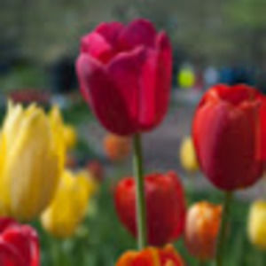 Meet your Posher, Mike